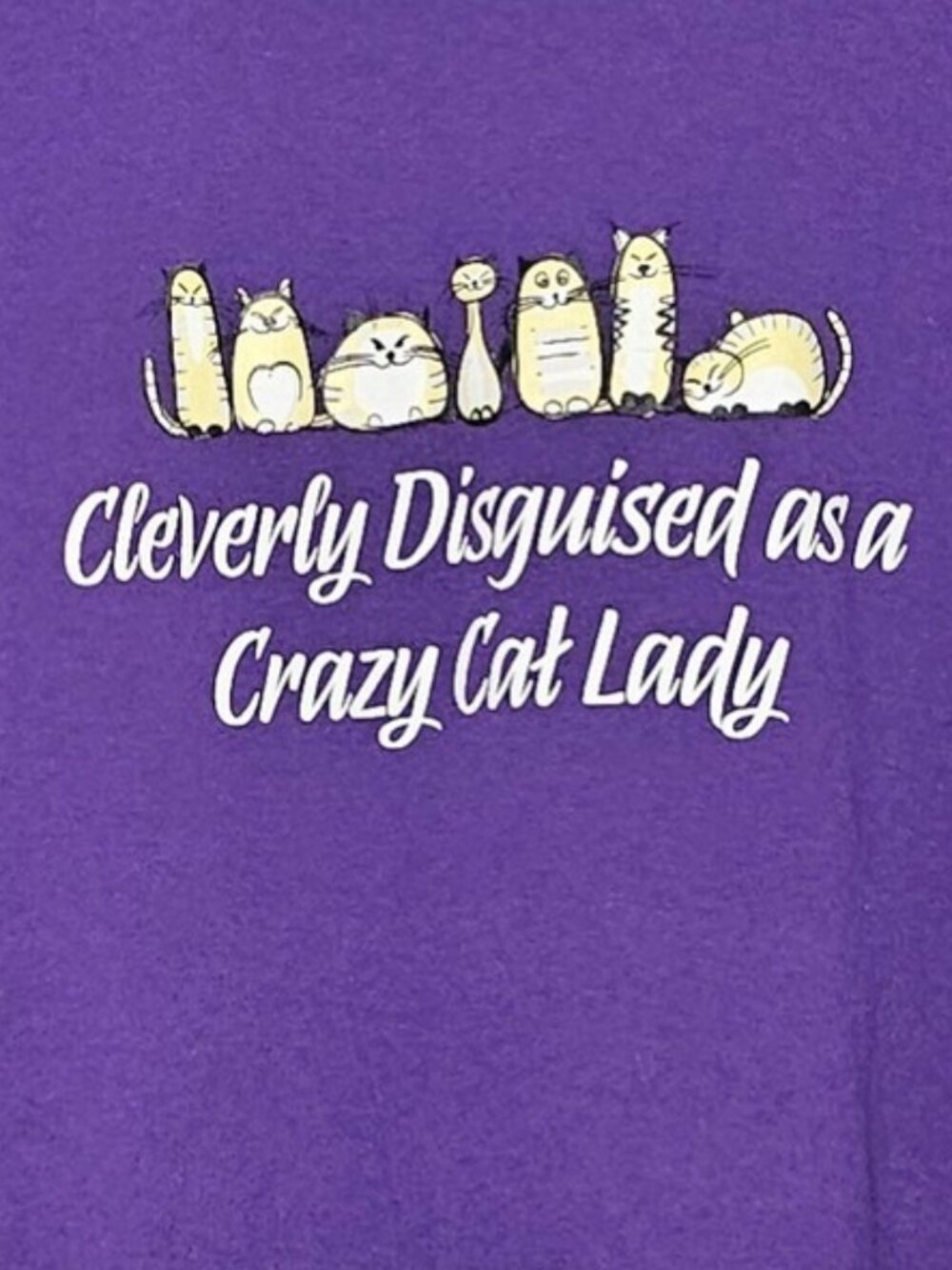 Vintage Cleverly Disguised as a Crazy Cat Lady XL Purple Graphic T-Shirt